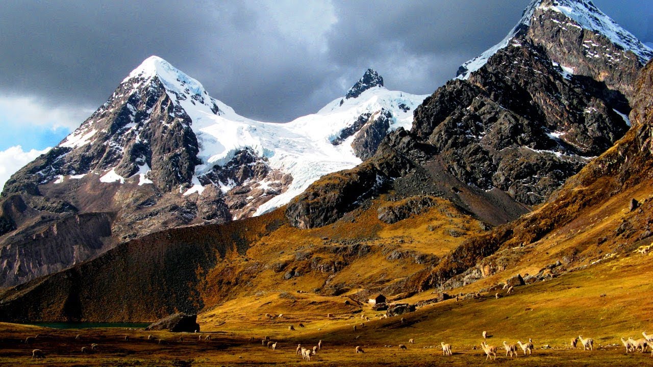 Tour a la montaña de colores - Vista del nevado Ausangate y animales de la zona.